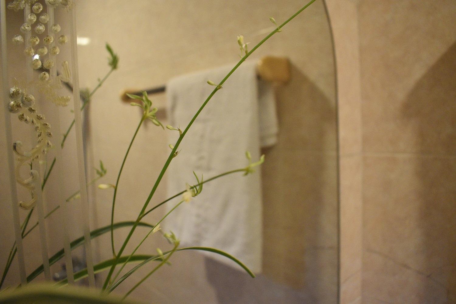 Phuong Trang Hotel Hanoi Zewnętrze zdjęcie